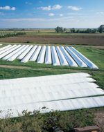Silo Bolsa 5 pies x 200 pies (silopress)
