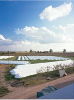 Silo Bolsa 5 pies x 200 pies (silopress) - Imagen 7