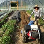 ROTOVATOR / Fresa de 80 cm. - Imagen 3