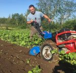 ROTOVATOR / Fresa de 80 cm. - Imagen 4