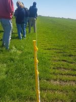 Varilla plástica 6 ganchos - Altura 1.16 metros  (1055002510) - Imagen 2