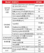 Bomba de agua Diesel 13hp 3 pulgadas - DP30H - Imagen 3