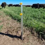 Aislador Doble Pin Lock - 1023007510 - Imagen 2