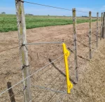 Sobre alambres dos líneas