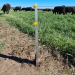 Poste Galvanizado San Miguel - Imagen 2