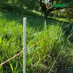 Poste de fibra de vidrio 10mm x 5 pies Punta de fibra.