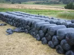 100 Bolsas negras para silopack 50 kg. (Paquete de 100 unidades)