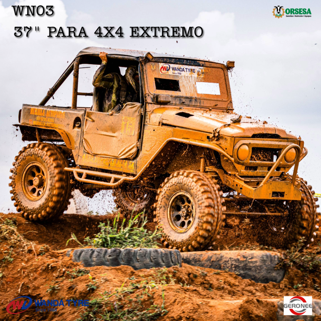 LLANTA WN03 -2