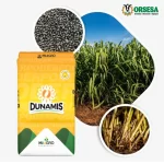 Dunamis 10 kilos - Imagen 4