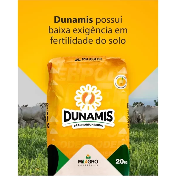 Dunamis 10 kilos - Imagen 5